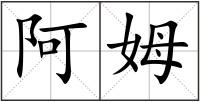阿姆