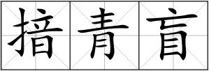 揞青盲