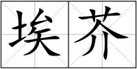 埃芥