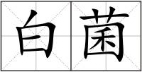 白菌