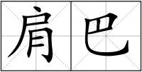 肩巴
