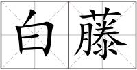 白藤