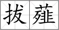 拔薤