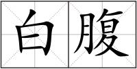 白腹