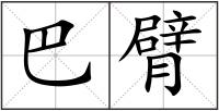 巴臂