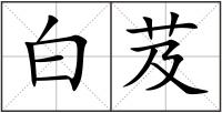 白芨