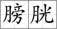 膀胱