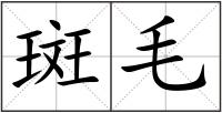 斑毛