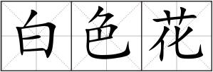 白色花