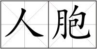 人胞