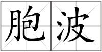胞波