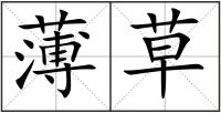 薄草