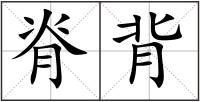 脊背