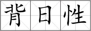 背日性