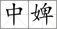 中婢