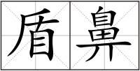 盾鼻