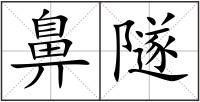 鼻隧