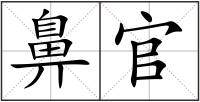 鼻官