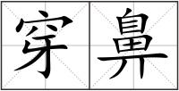 穿鼻
