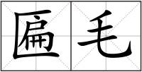 匾毛