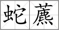 蛇藨