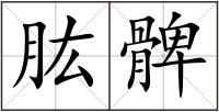 肱髀