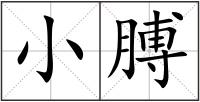 小膊