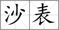 沙表
