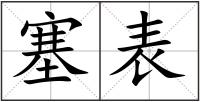 塞表