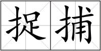 捉捕