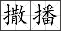 撒播