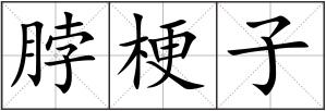 脖梗子