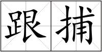 跟捕