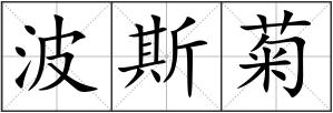 波斯菊