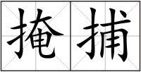 掩捕