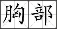胸部
