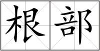 根部
