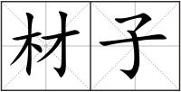 材子