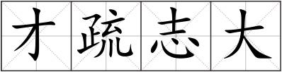 才疏志大