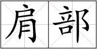 肩部