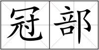冠部
