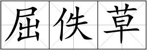 屈佚草