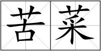 苦菜