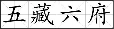 五藏六府