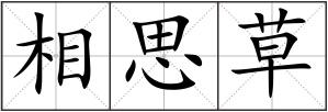 相思草