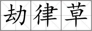 劫律草