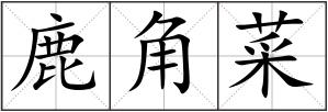 鹿角菜