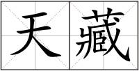 天藏