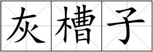 灰槽子