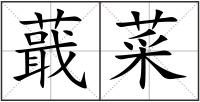 蕺菜